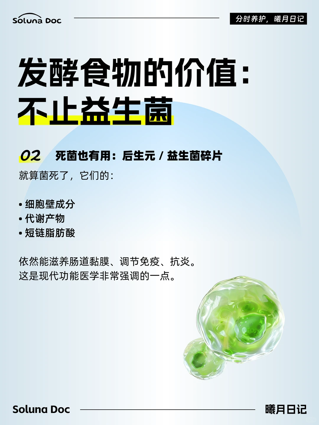 发酵食物熟吃依然有用 3